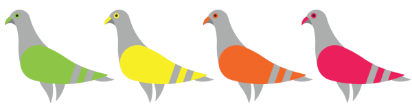 Colourful pigeons