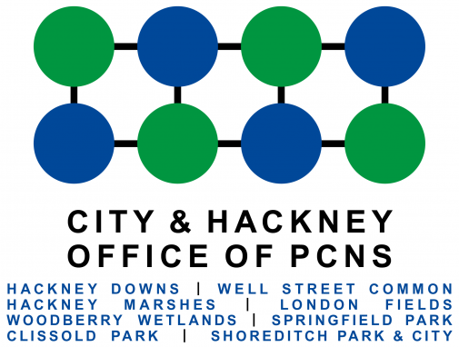 HackneyPCNSLogoFull